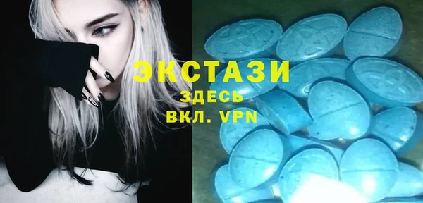 амф Гатчина