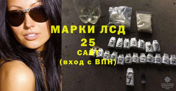 амф Гатчина