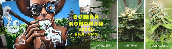 jwh Протвино
