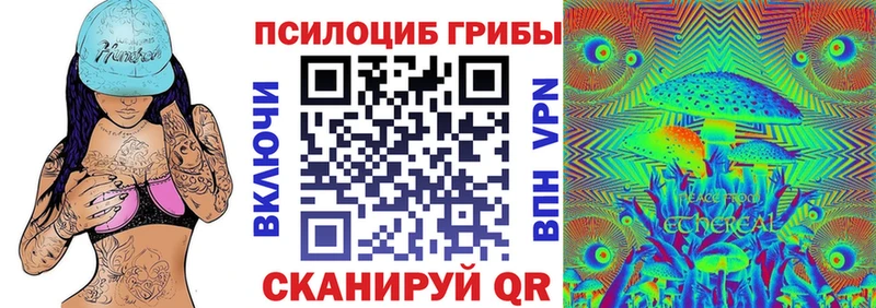Псилоцибиновые грибы Psilocybe  Артёмовск 